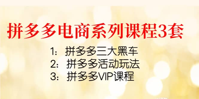 拼多多电商系列课程3套：拼多多三大黑车+拼多多活动玩法+拼多多VIP课程-智领未来创业网