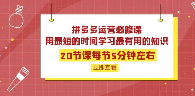 拼多多运营必修课：20节课每节5分钟左右，用最短的时间学习最有用的知识-智领未来创业网