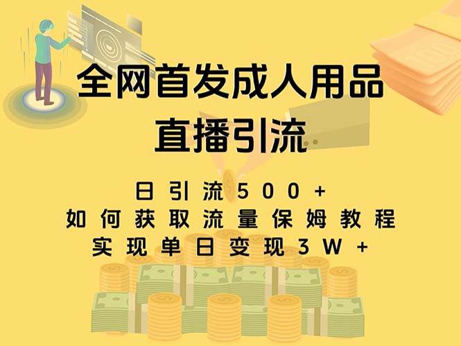 最新全网独创首发，成人用品直播引流获客暴力玩法，单日变现3w保姆级教程-智领未来创业网