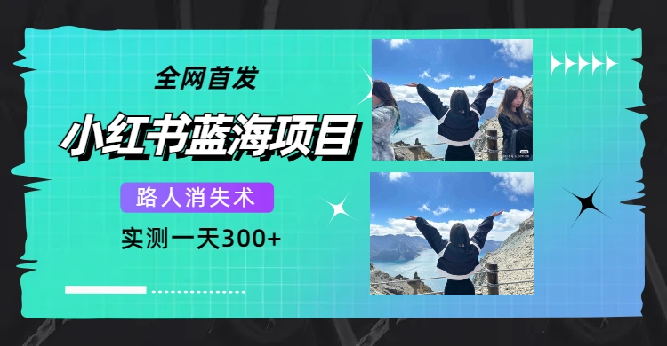 全网首发，小红书蓝海项目，路人消失术，实测一天300+（教程+工具）-智领未来创业网