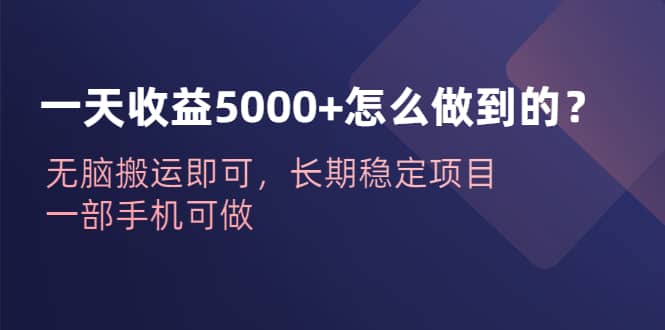 一天收益5000+怎么做到的？无脑搬运即可，长期稳定项目，一部手机可做-智领未来创业网