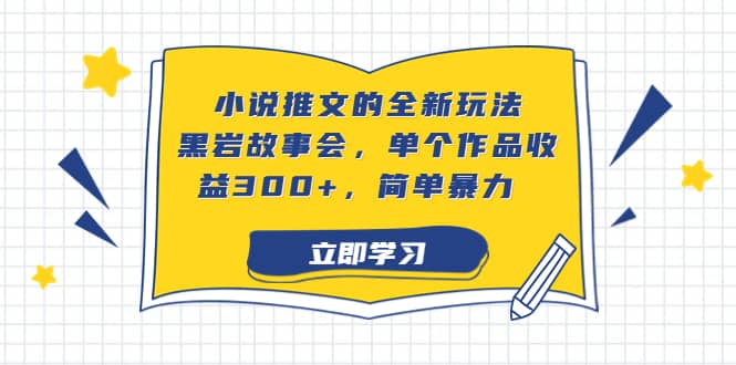 小说推文的全新玩法，黑岩故事会，单个作品收益300+，简单暴力-智领未来创业网