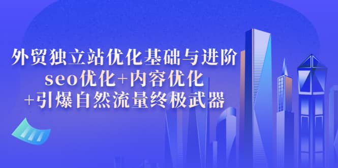 外贸独立站优化基础与进阶，seo优化+内容优化+引爆自然流量终极武器-智领未来创业网