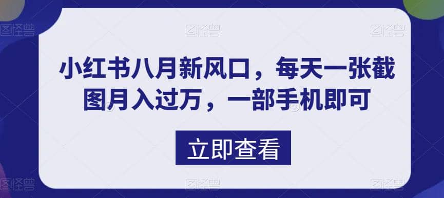 八月新风口，小红书虚拟项目一天收入1000+，实战揭秘-智领未来创业网