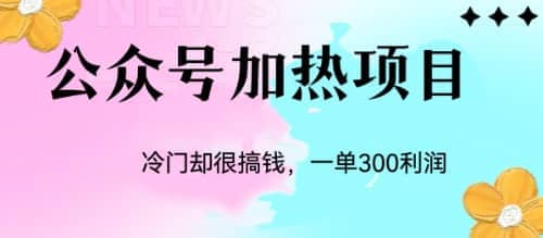 冷门公众号加热项目，一单利润300+-智领未来创业网