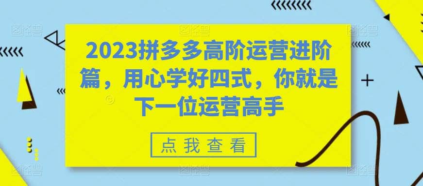 2023拼多多高阶运营进阶篇，用心学好四式，你就是下一位运营高手-智领未来创业网