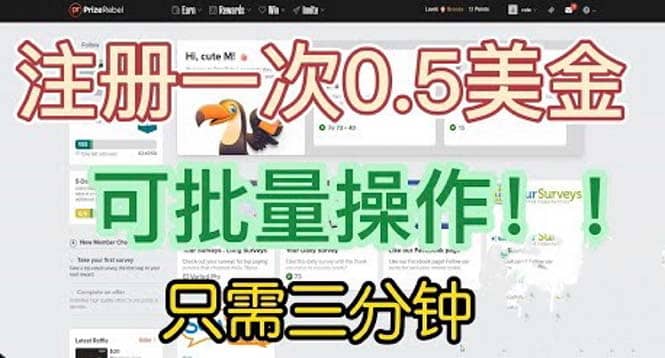 国外项目注册一次0.5美金 只需三分钟无脑操作 可批量放大 小白工作室福利-智领未来创业网