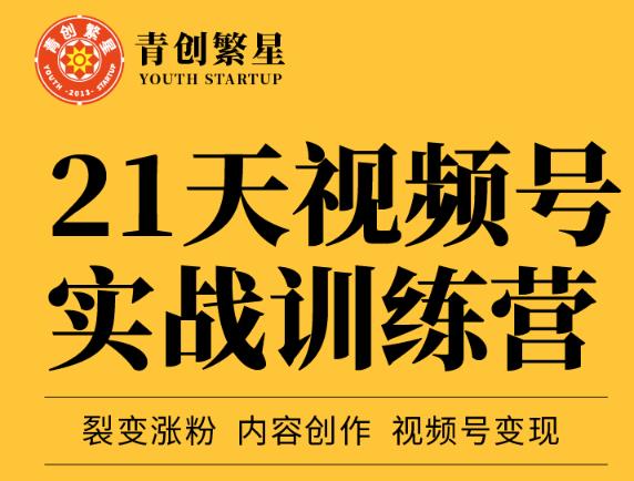 张萌21天视频号实战训练营，裂变涨粉、内容创作、视频号变现 价值298元-智领未来创业网