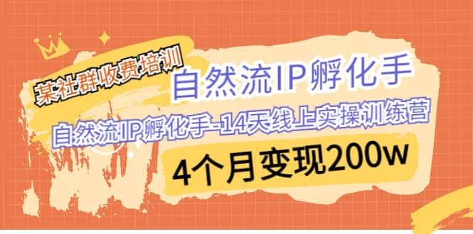 某社群收费培训：自然流IP 孵化手-14天线上实操训练营 4个月变现200w-智领未来创业网