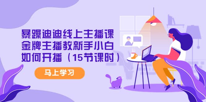 暴躁迪迪线上主播课，金牌主播教新手小白如何开播（15节课时）-智领未来创业网