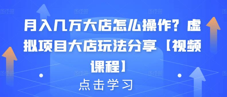 月入几万大店怎么操作？虚拟项目大店玩法分享【视频课程】-智领未来创业网