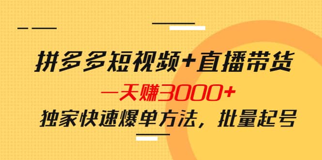 拼多多短视频+直播带货，一天赚3000+独家快速爆单方法，批量起号-智领未来创业网