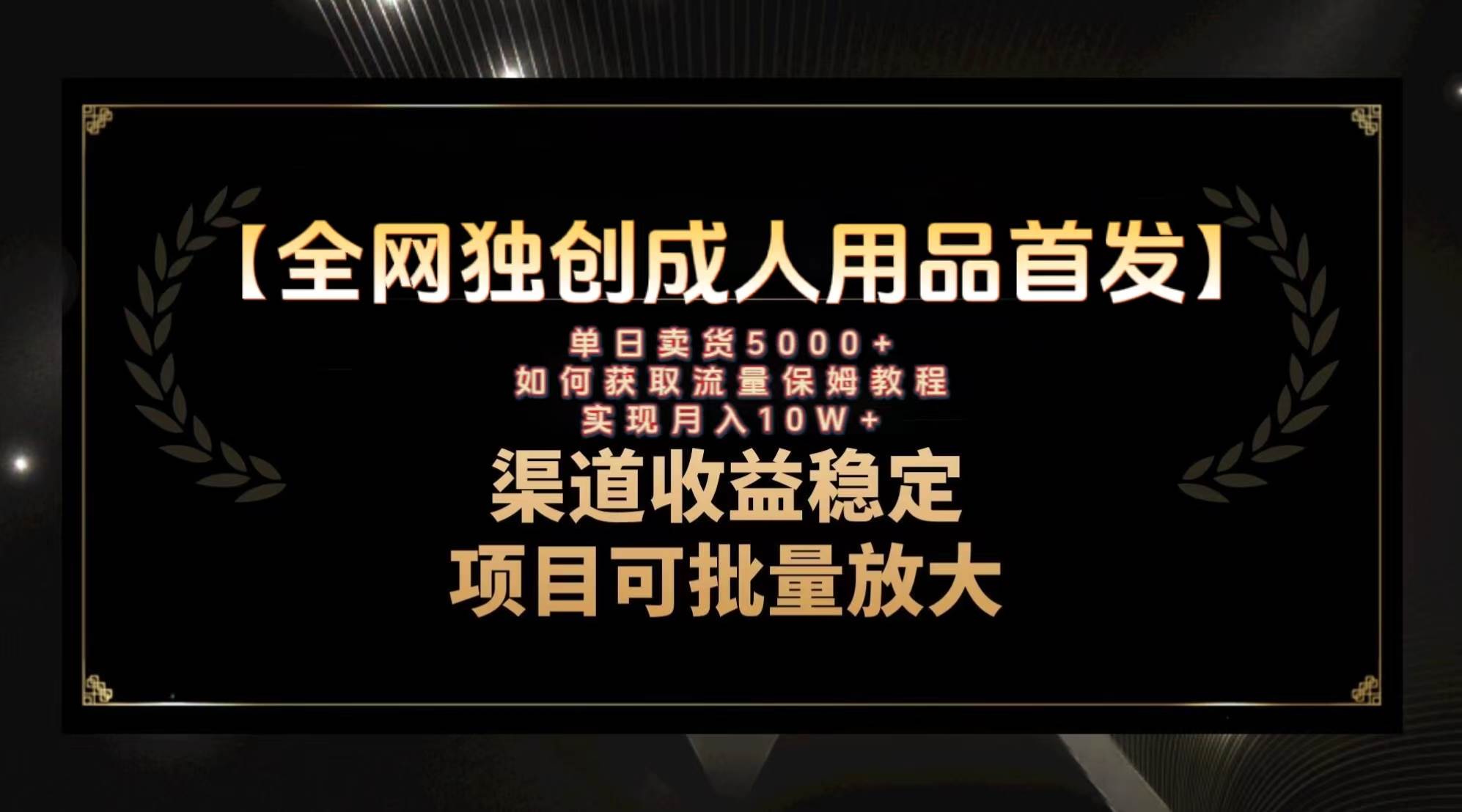 最新全网独创首发，成人用品赛道引流获客，月入10w保姆级教程-智领未来创业网
