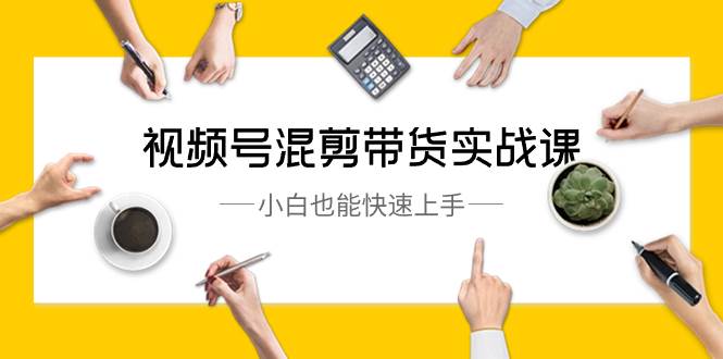 视频号-混剪带货实战课，小白也能快速上手（10节课）-智领未来创业网