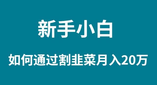新手小白如何通过割韭菜月入 20W-智领未来创业网
