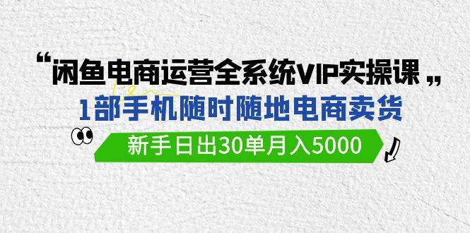 闲鱼电商运营全系统VIP实战课，1部手机随时随地卖货，新手日出30单月入5000-智领未来创业网