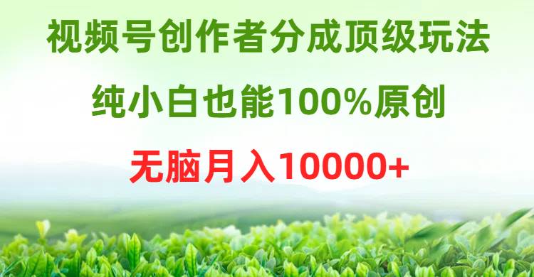 视频号创作者分成顶级玩法，纯小白也能100%原创，无脑月入10000+-智领未来创业网