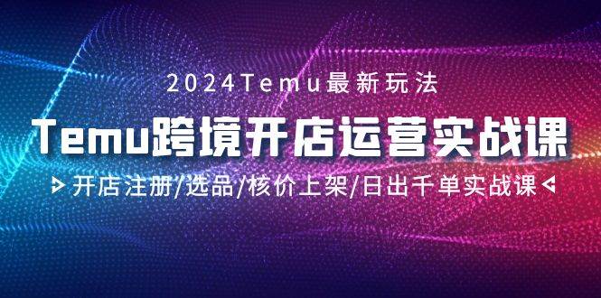 2024Temu跨境开店运营实战课，开店注册/选品/核价上架/日出千单实战课-智领未来创业网