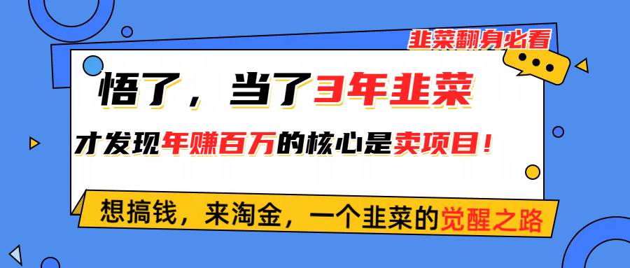 悟了，当了3年韭菜，才发现网赚圈年赚100万的核心是卖项目，含泪分享！-智领未来创业网