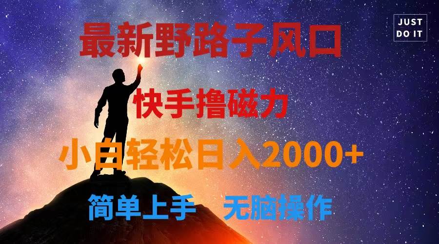 最新风口！快手撸磁力，野路子，小白无脑操作日入2000+-智领未来创业网