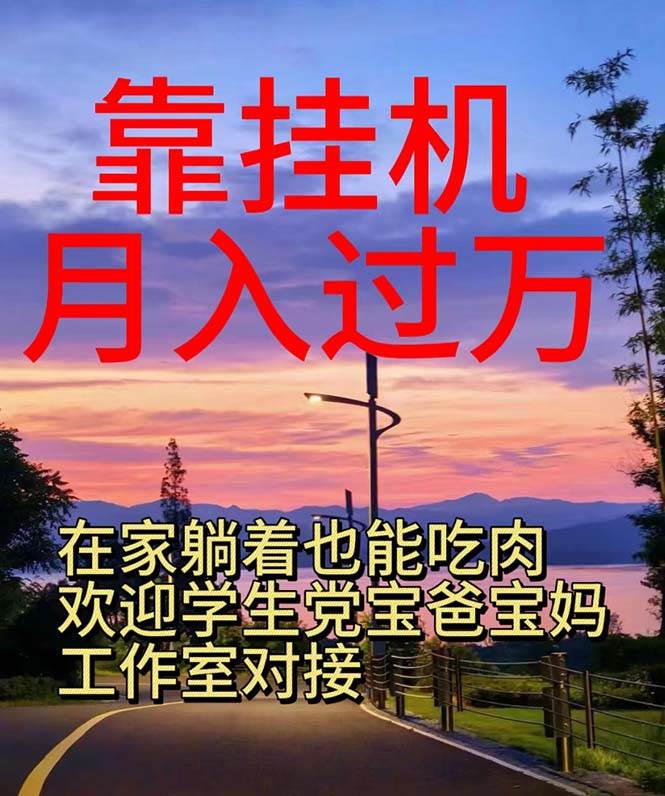 靠挂机，日入1000+，躺着也能吃肉，电脑手机都可挂-智领未来创业网