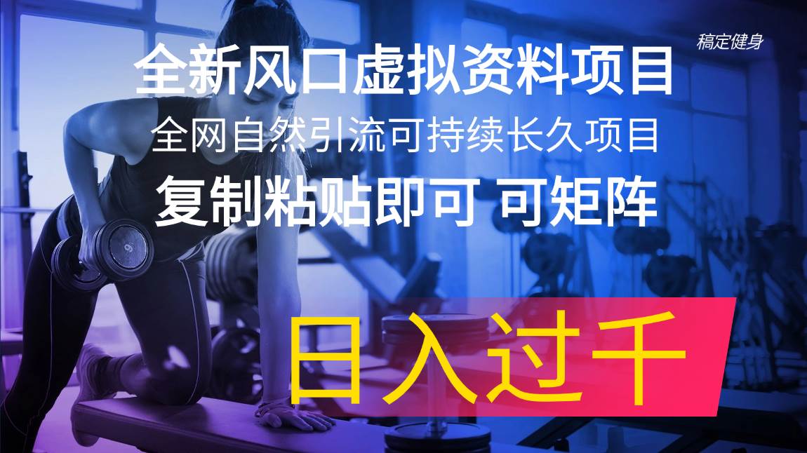 全新风口虚拟资料项目 全网自然引流可持续长久项目 复制粘贴即可可矩阵…-智领未来创业网