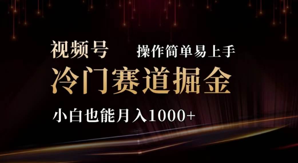 2024视频号冷门赛道掘金，操作简单轻松上手，小白也能月入1000+-智领未来创业网