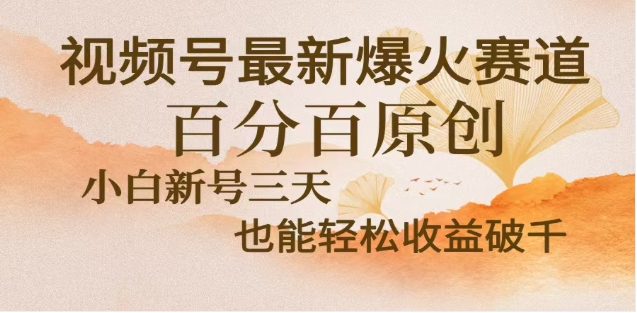 视频号独家玩法，老年养生赛道，无脑搬运爆款视频，日入2000+-智领未来创业网