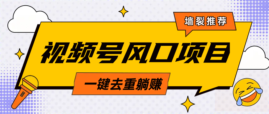视频号风口蓝海项目，中老年人的流量密码，简单无脑，一键去重，轻松月入过万-智领未来创业网