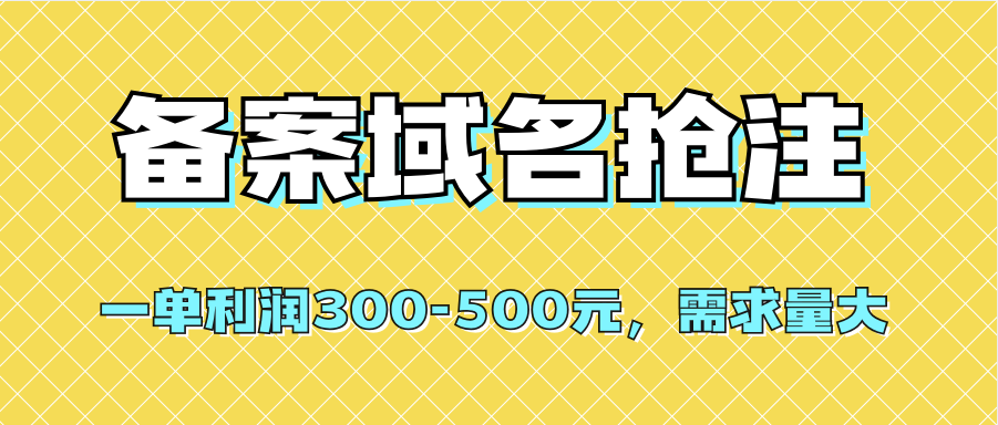 【全网首发】备案域名抢注，一单利润300-500元，需求量大-智领未来创业网