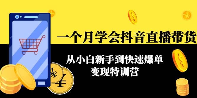 一个月学会抖音直播带货：从小白新手到快速爆单变现特训营(63节课)-智领未来创业网