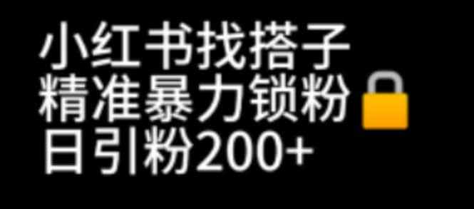 小红书找搭子暴力精准锁粉+引流日引200+精准粉-智领未来创业网