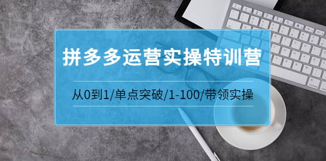 拼多多运营实操特训营：从0到1/单点突破/1-100/带领实操 价值2980元-智领未来创业网
