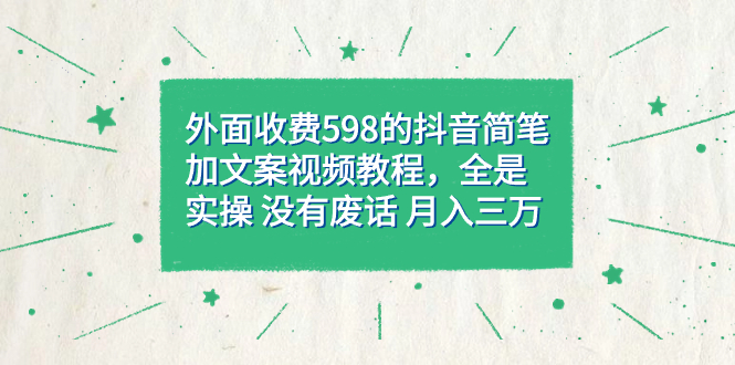 外面收费598抖音简笔加文案教程，全是实操 没有废话 月入三万（教程+资料）-智领未来创业网