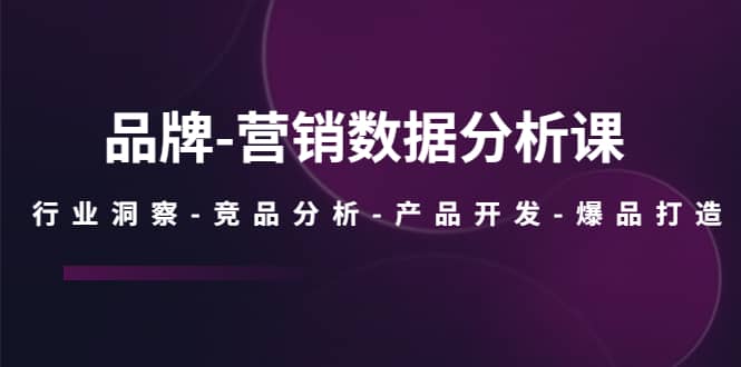 品牌-营销数据分析课，行业洞察-竞品分析-产品开发-爆品打造-智领未来创业网