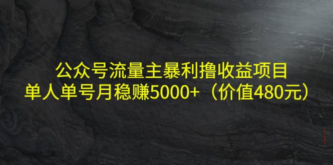 公众号流量主暴利撸收益项目，单人单号月稳赚5000+（价值480元）-智领未来创业网