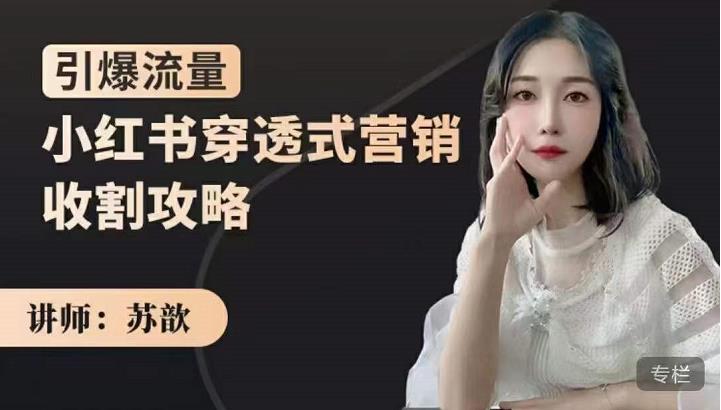小红书穿透式营销收割攻略，引爆流量，助你玩转小红书-智领未来创业网