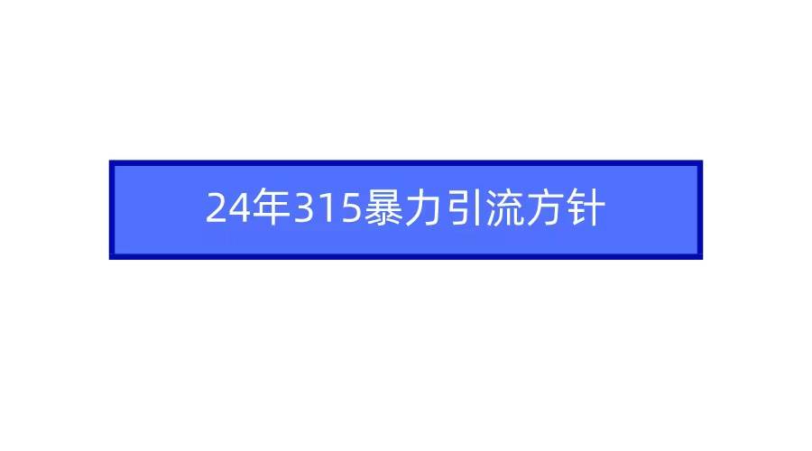 2024年315暴力引流方针-智领未来创业网