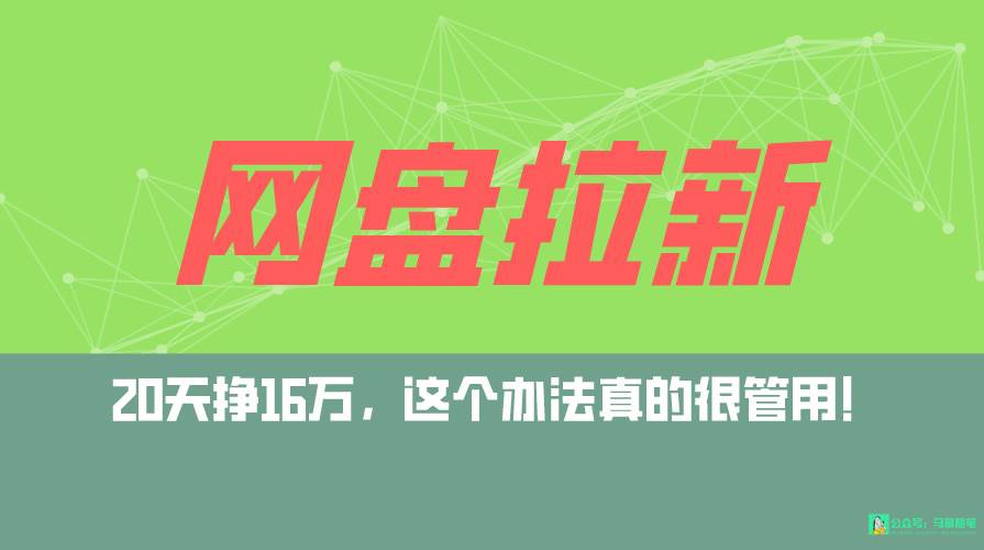 网盘拉新+私域全自动玩法，0粉起号，小白可做，当天见收益，已测单日破5000-智领未来创业网
