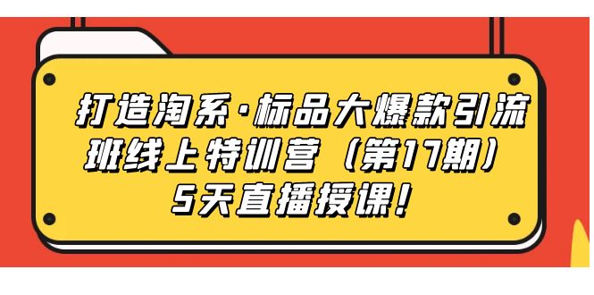 打造淘系·标品大爆款引流班线上特训营5天直播授课！-智领未来创业网