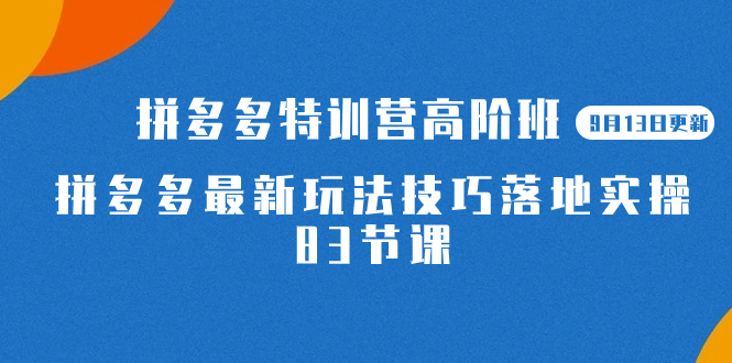 2023拼多多·特训营高阶班【9月13日更新】拼多多最新玩法技巧落地实操-83节-智领未来创业网