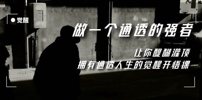 觉醒-做一个通透强者，让你醍醐灌顶，拥有通透人生，掌握强大的秘密-智领未来创业网