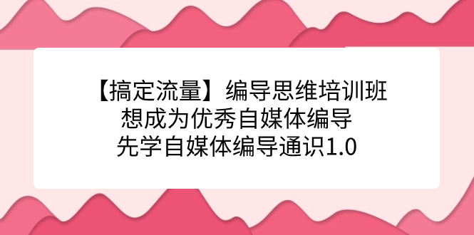【搞定流量】编导思维培训班，想成为优秀自媒体编导先学自媒体编导通识1.0-智领未来创业网