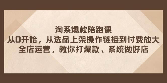 淘系爆款陪跑课 从选品上架操作链接到付费放大 全店运营 打爆款 系统做好店-智领未来创业网