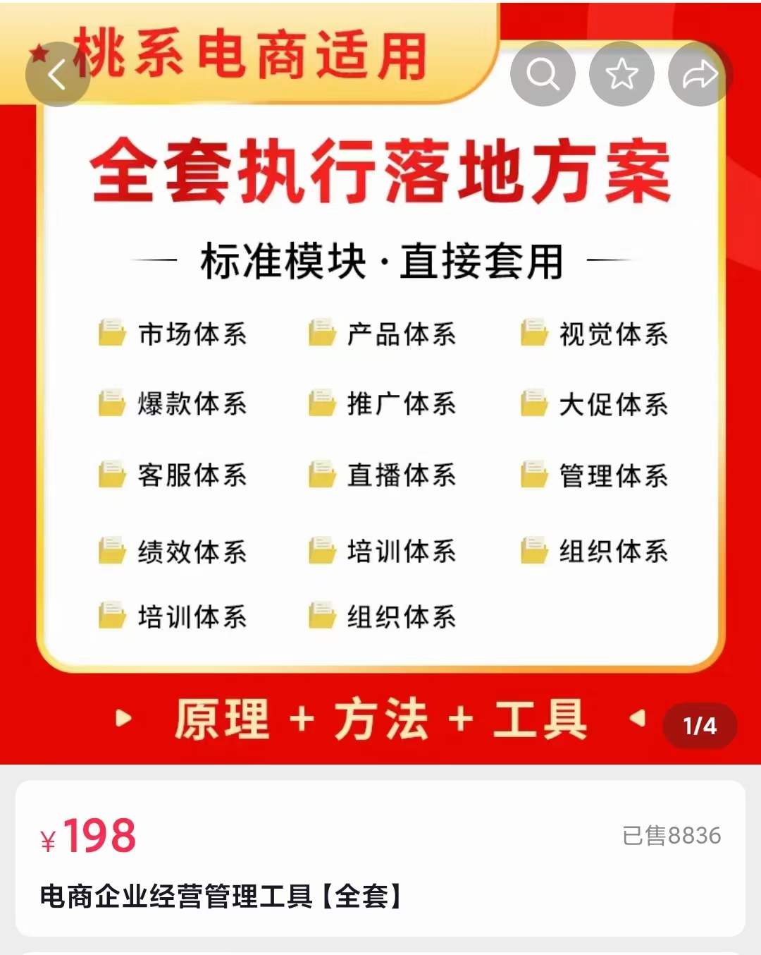 外面卖198·电商企业经营管理工具：全套执行落地方案 标准模块·直接套用-智领未来创业网