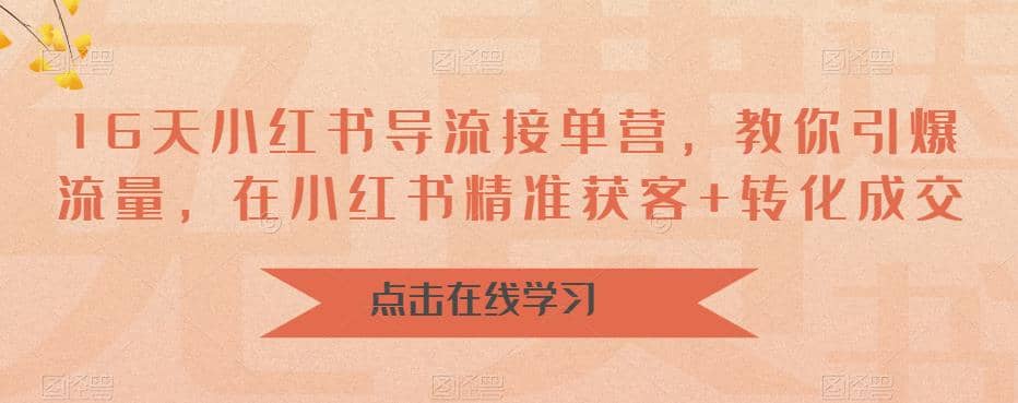 16天-小红书 导流接单营，教你引爆流量，在小红书精准获客+转化成交-智领未来创业网
