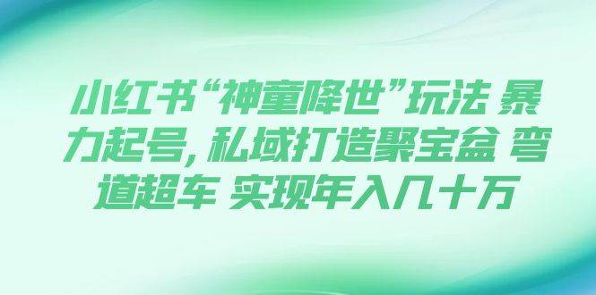 小红书“神童降世”玩法 暴力起号,私域打造聚宝盆 弯道超车 实现年入几十万-智领未来创业网