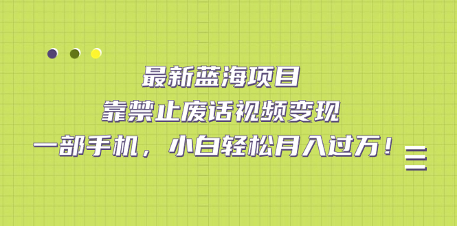 最新蓝海项目，靠禁止废话视频变现，一部手机，小白轻松月入过万！-智领未来创业网