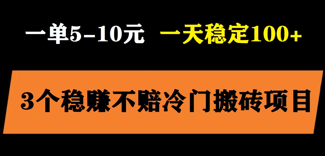 3个最新稳定的冷门搬砖项目，小白无脑照抄当日变现日入过百-智领未来创业网