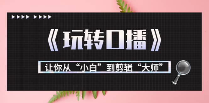 月营业额700万+大佬教您《玩转口播》让你从“小白”到剪辑“大师”-智领未来创业网
